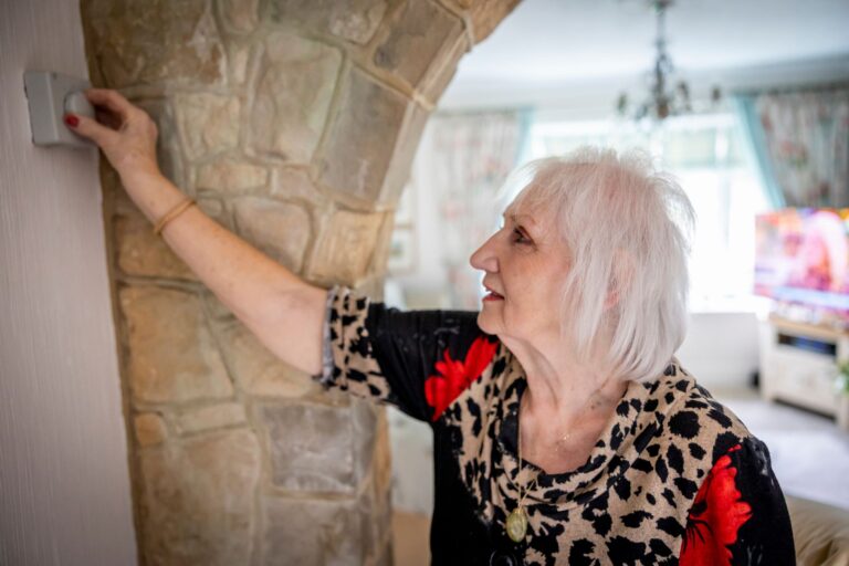 Best Thermostat For Seniors